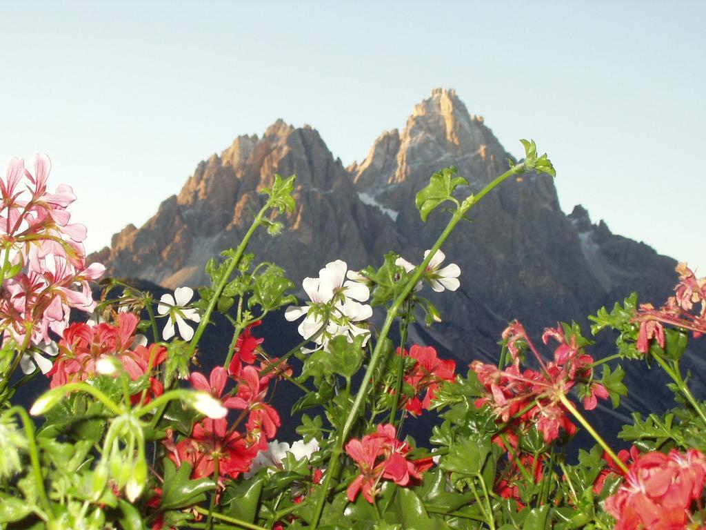 Galler Am Berg San Candido Quarto foto